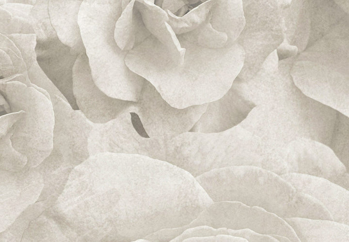 Fototapetes ar rozēm gaiši pelēkā krāsā - Dabas skaistums - 143819 G-ART