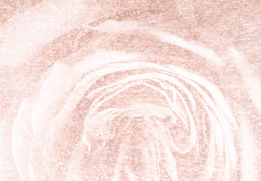 Fototapetes ar rozēm- Romantiskas dienas (rozā krāsā) - 142382 G-ART