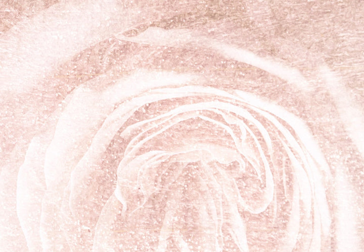 Fototapetes ar rozēm- Romantiskas dienas (rozā krāsā) - 142382 G-ART