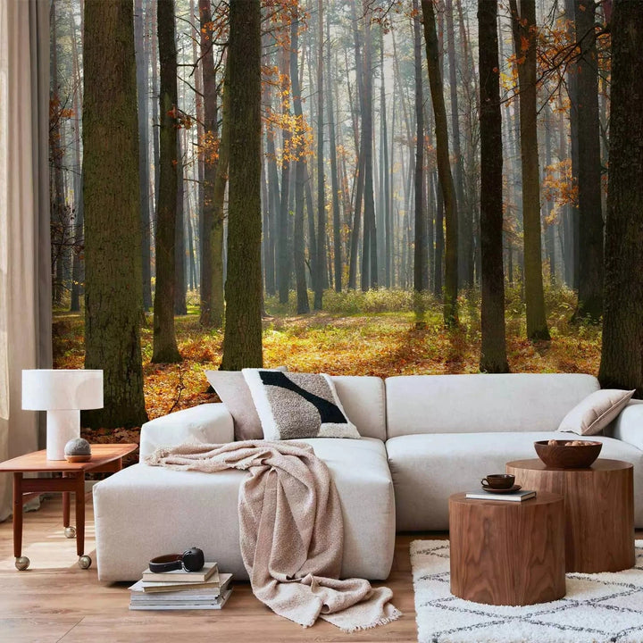 Fototapetes ar rudens ainavu - Rudens koki - rudens krāsās G-ART