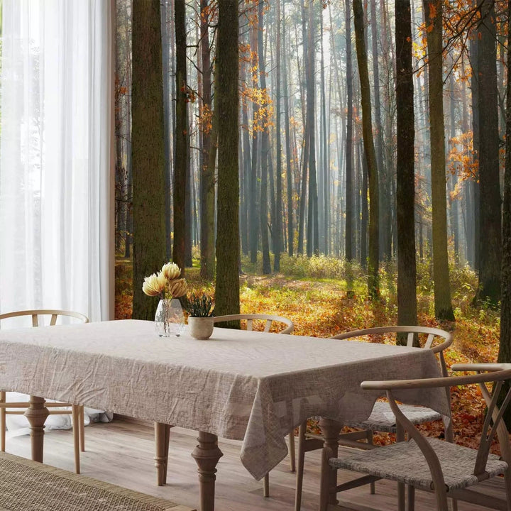 Fototapetes ar rudens ainavu - Rudens koki - rudens krāsās G-ART