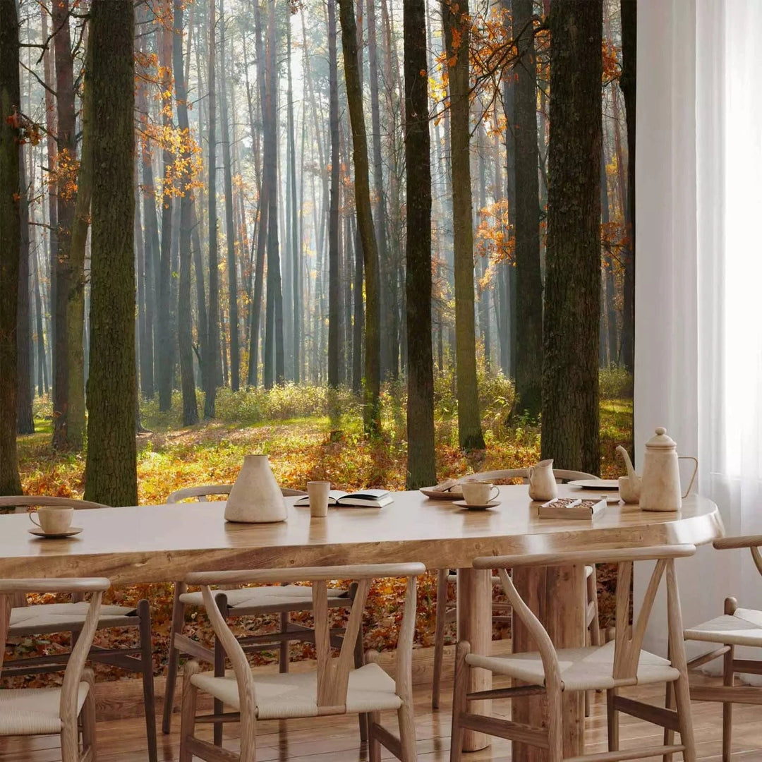 Fototapetes ar rudens ainavu - Rudens koki - rudens krāsās G-ART