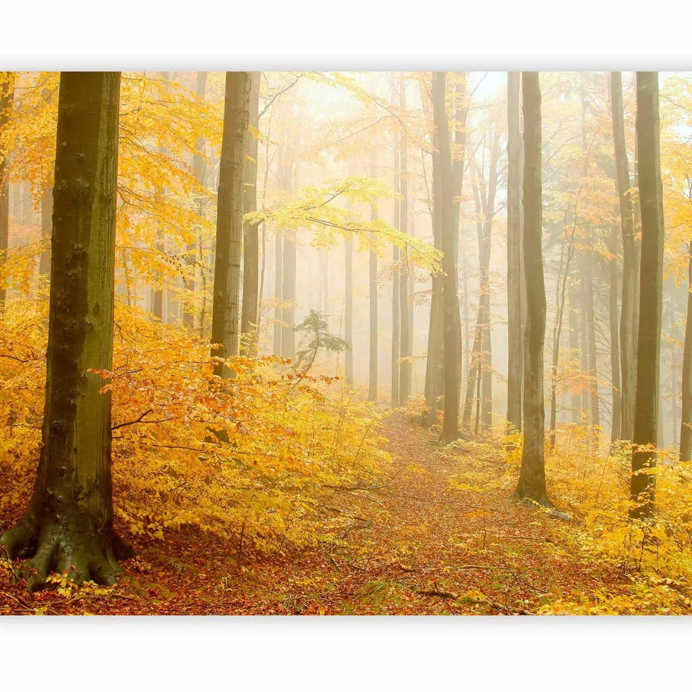 Fototapetes ar rudens mežu- Rudens mežs, 59846, dzeltenā krāsā G-ART
