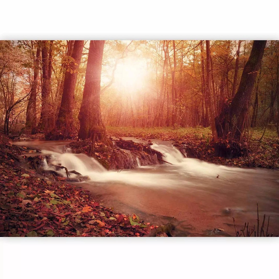 Fototapetes ar rudens mežu - Rudens sapnis - dabas noskaņas G-ART