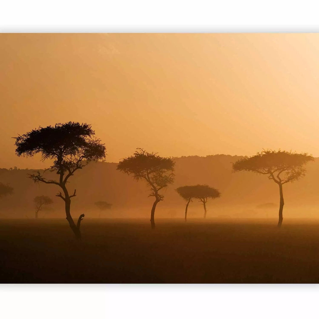 Fototapetes ar Āfrika oranžā krāsā - izgatavošana uz pasūtījumu G-ART