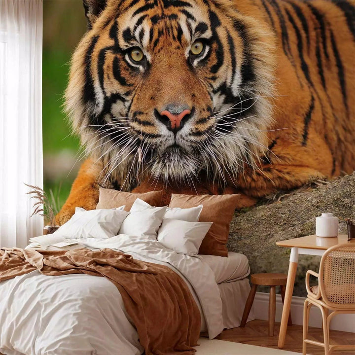 Fototapetes ar Sumatras tīģeri savvaļā - Ideāls variants guļamistabai G-ART