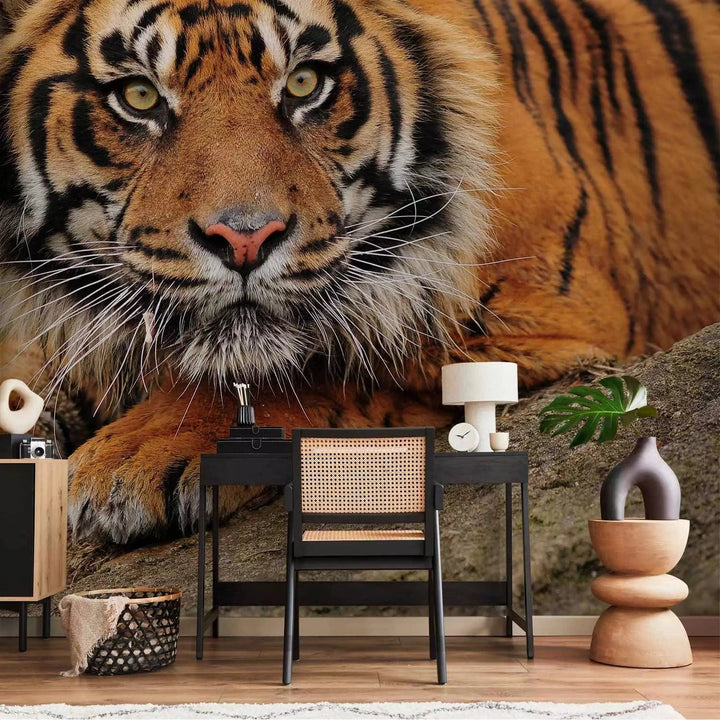 Fototapetes ar Sumatras tīģeri savvaļā - Ideāls variants guļamistabai G-ART