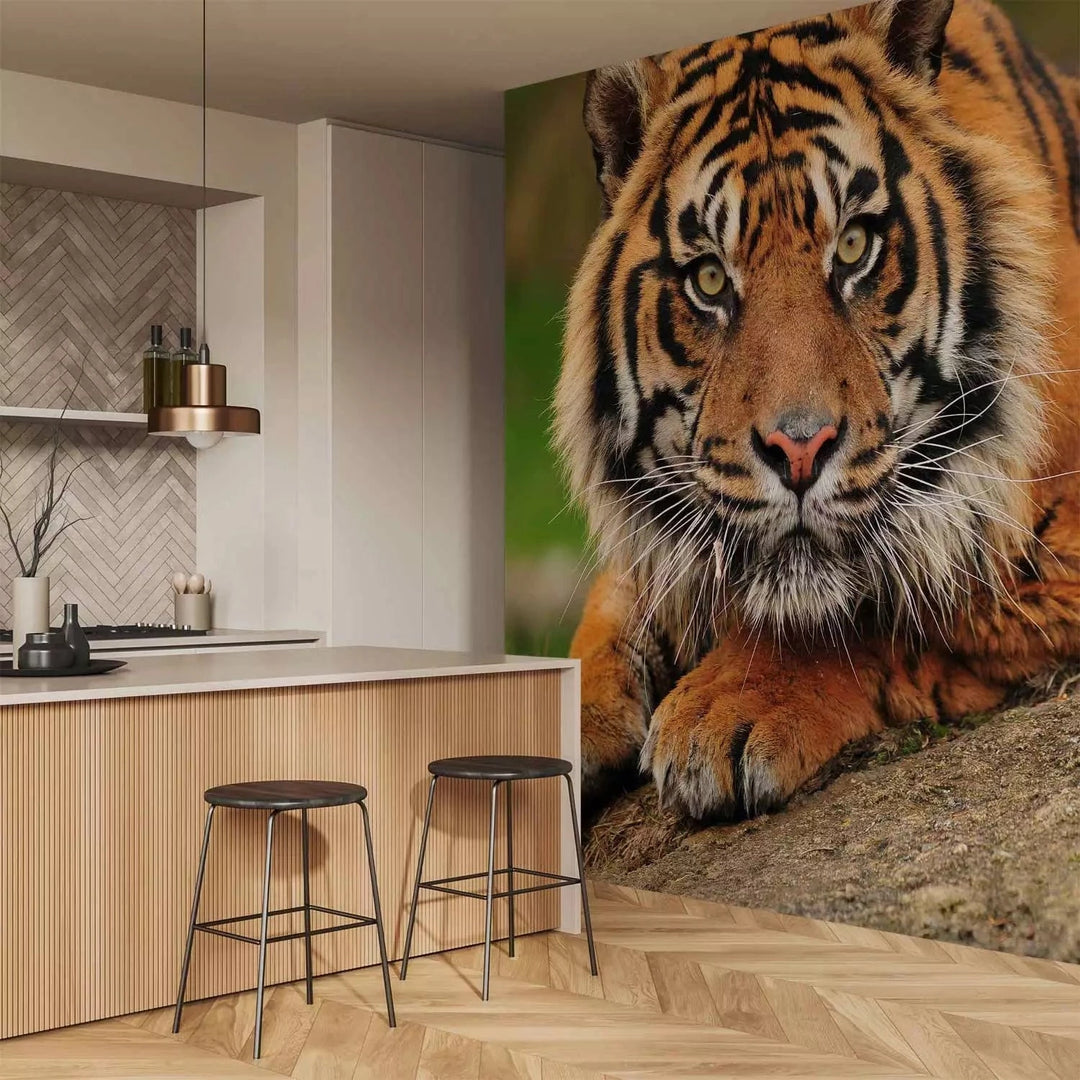 Fototapetes ar Sumatras tīģeri savvaļā - Ideāls variants guļamistabai G-ART