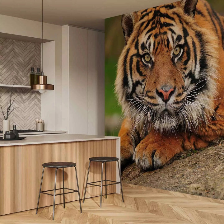 Fototapetes ar Sumatras tīģeri savvaļā - Ideāls variants guļamistabai G-ART