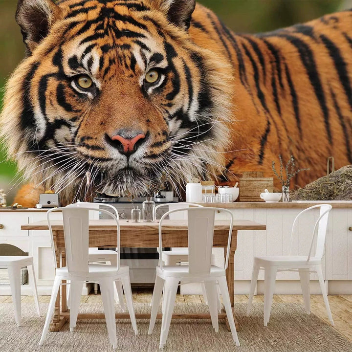 Fototapetes ar Sumatras tīģeri savvaļā - Ideāls variants guļamistabai G-ART