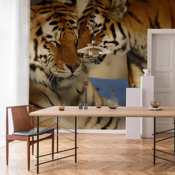 Fototapetes ar tīģeru ģimeni savvaļā - izgatavošana pēc pasūtījuma G-ART