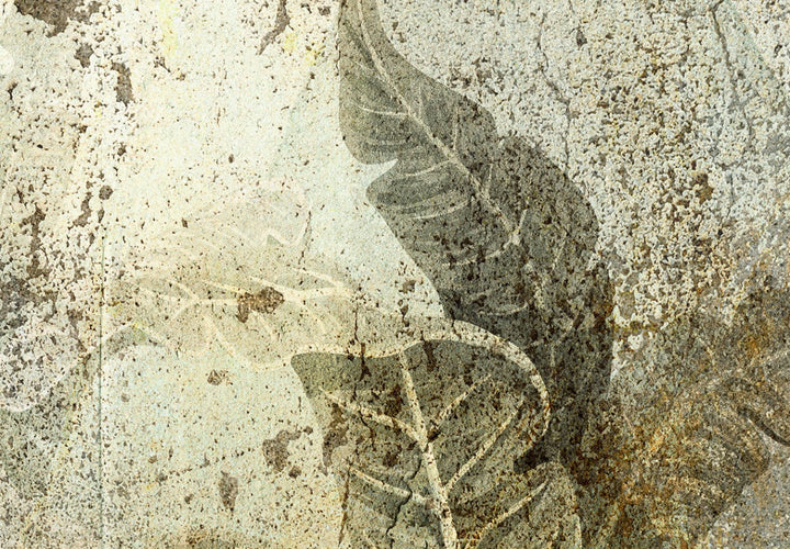 Fototapetes ar tropiskiem džungļiem tumši zaļos toņos - 142593 G-ART