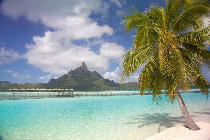 Fototapetes ar tropisko jūras skatu - Tropiskā lagūna, zilā krāsā D-ART