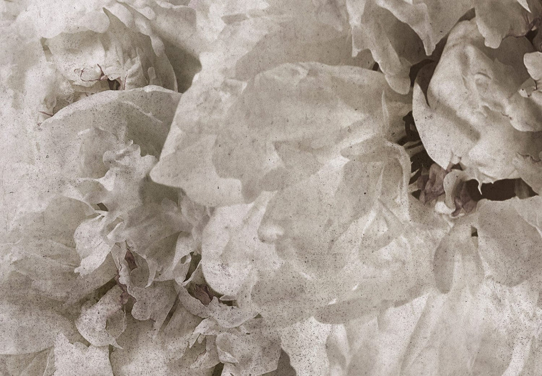 Fototapetes ar ziediem rozā un pelēkā - Dārza mirdzums - 134565 G-ART