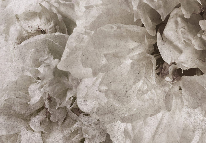 Fototapetes ar ziediem rozā un pelēkā - Dārza mirdzums - 134565 G-ART