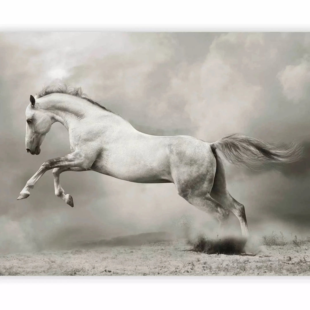 Fototapetes - Balts lecošs zirgs uz smiltīm starp pelēkiem dūmiem G-ART