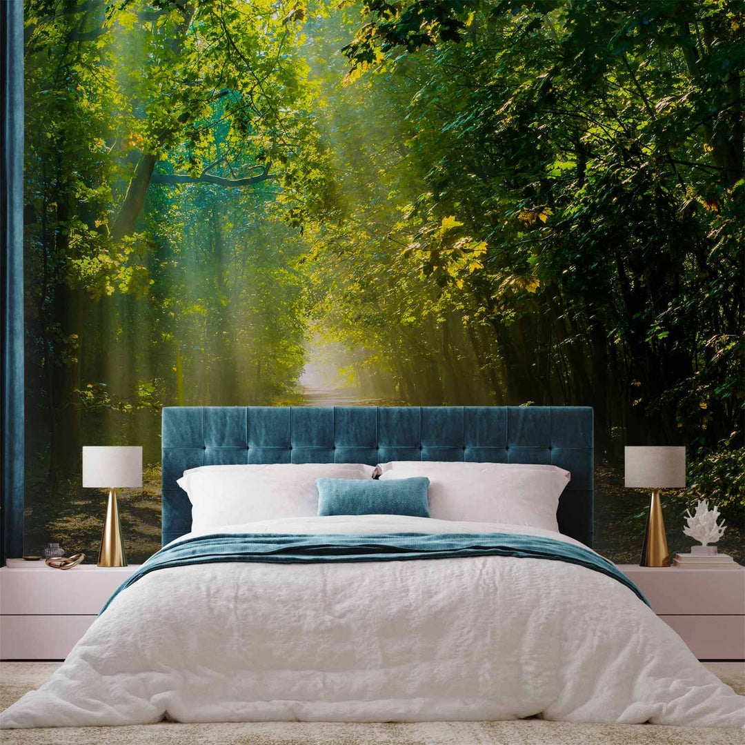 Fototapetes - Meža ainava - relaksējošs ceļš saulē starp kokiem, 62336 G-ART