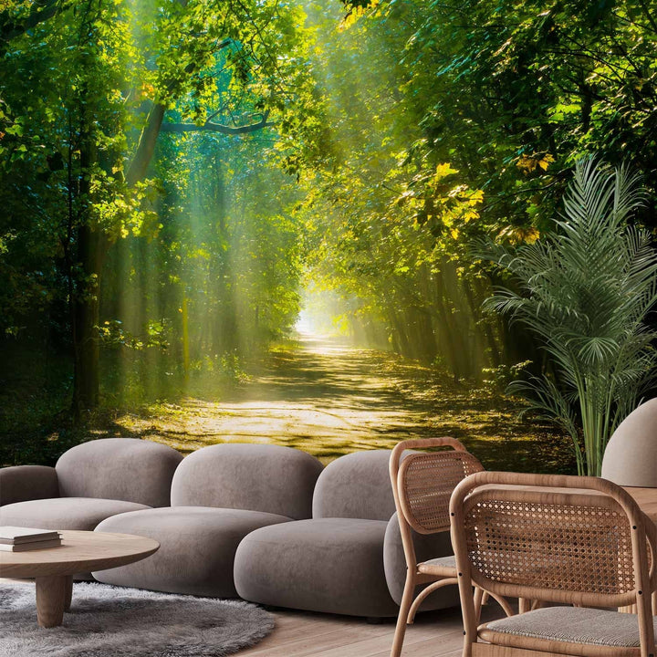 Fototapetes - Meža ainava - relaksējošs ceļš saulē starp kokiem, 62336 G-ART