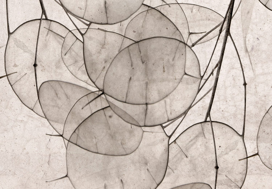 Fototapetes - Dabas motīvs bēšos toņos -137475 G-ART