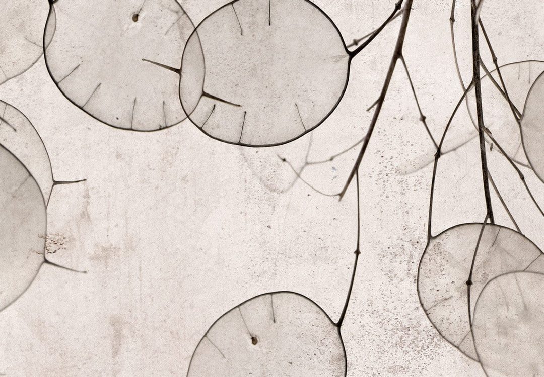 Fototapetes - Dabas motīvs bēšos toņos -137475 G-ART