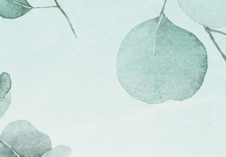 Fototapetes - Eikalipta lapas zilos toņos - 138567 G-ART