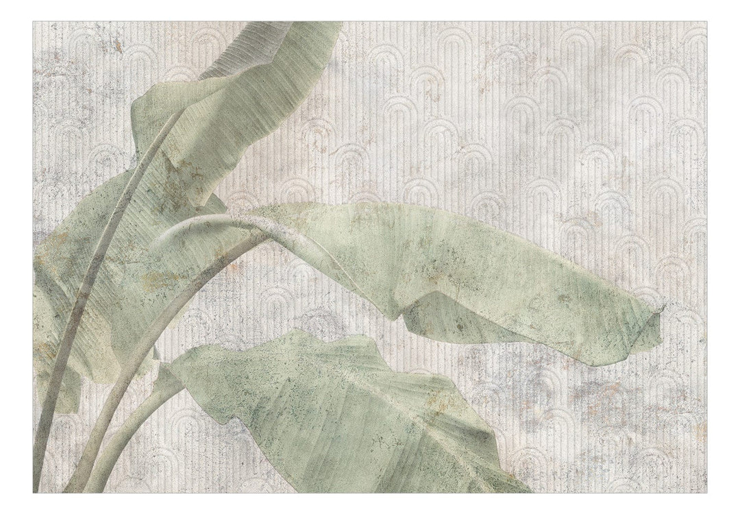 Fototapetes - Eksotiskas lapas pieklusinātos zaļos toņos - 151875 G-ART