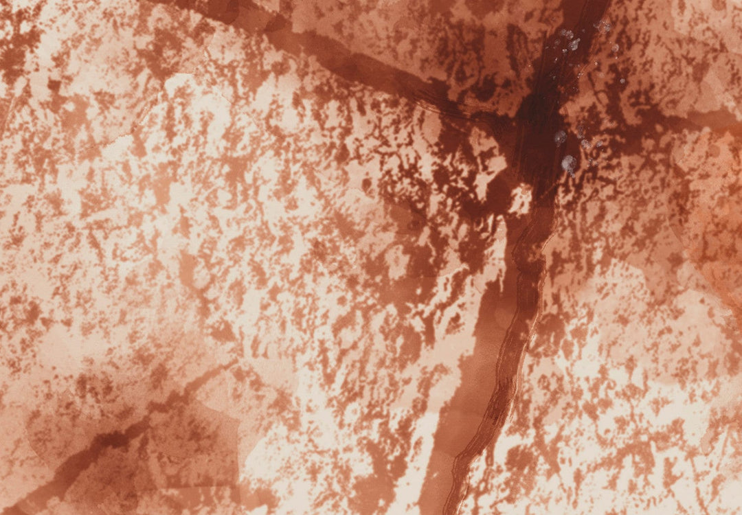 Fototapetes - Gaiši brūna koka tekstūra - 135982 G-ART