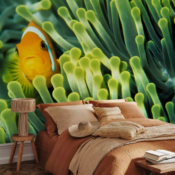 Fototapetes - Jūras daba - Klaunzivs starp zaļo koraļļu rifu, 61266 G-ART