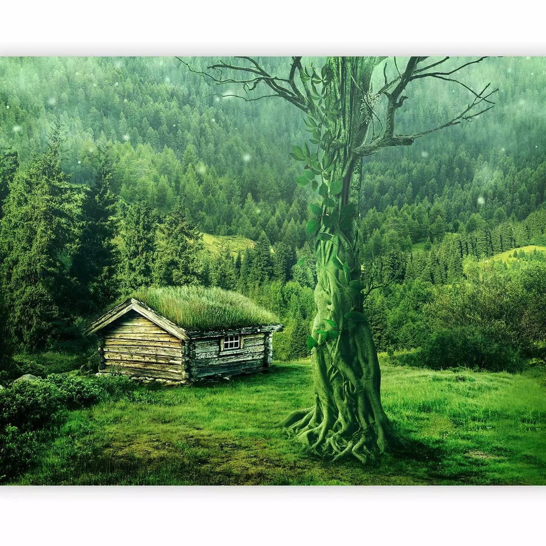 Fototapetes - kalnu ainava ar krāšņu mežu un māju centrā, zaļā G-ART
