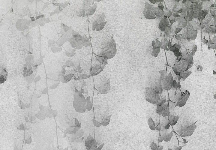 Fototapetes guļamistabai - Kompozīcija ar tumšu efeju uz sienas G-ART