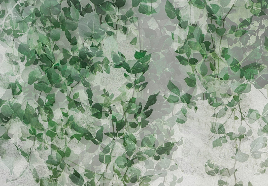 Fototapetes guļamistabai - Kompozīcija ar tumšu efeju uz sienas G-ART