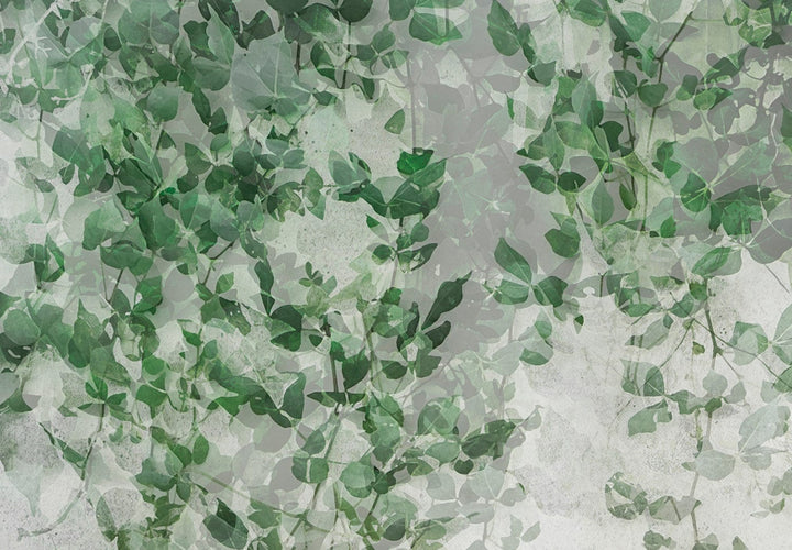 Fototapetes guļamistabai - Kompozīcija ar tumšu efeju uz sienas G-ART