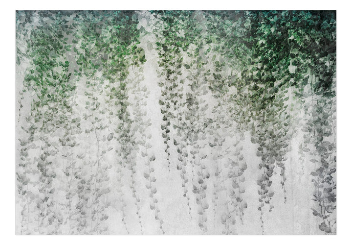 Fototapetes guļamistabai - Kompozīcija ar tumšu efeju uz sienas G-ART