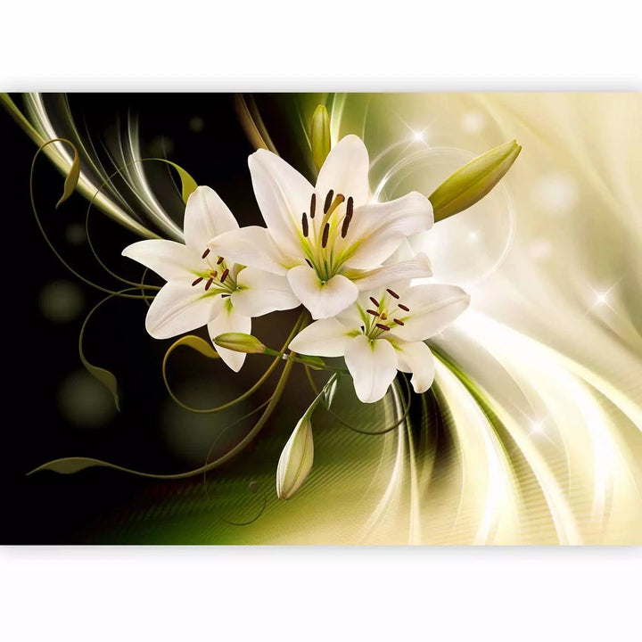 Fototapetes lilijām un gaismas spēli zaļā krāsā uz melna fona G-ART