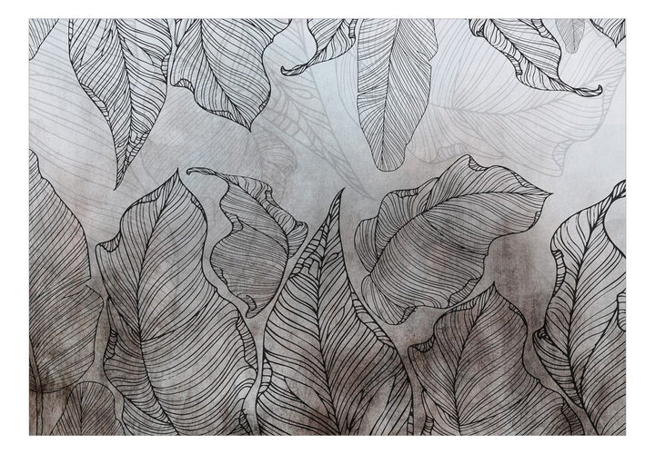 Fototapetes ar lapām - Lapu kontūras uz pelēkā fona, 148924 G-ART