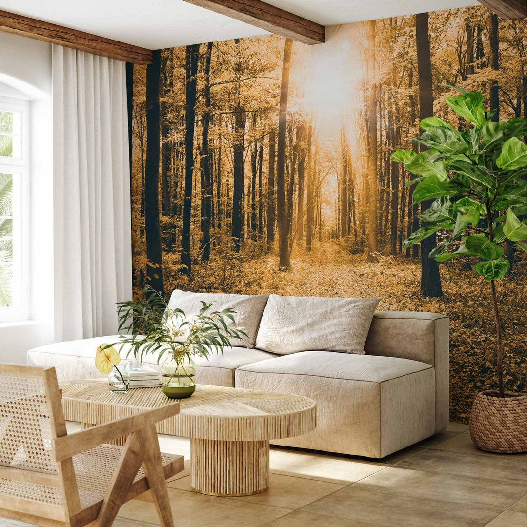 Fototapetes ar mežu - Maģiska gaisma, 64598  G-ART