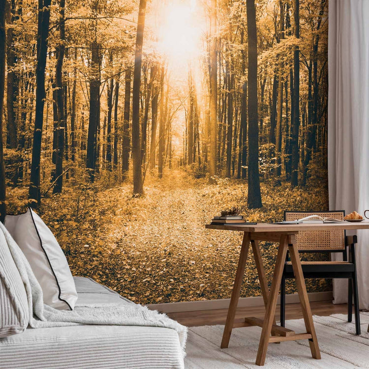 Fototapetes ar mežu - Maģiska gaisma, 64598  G-ART