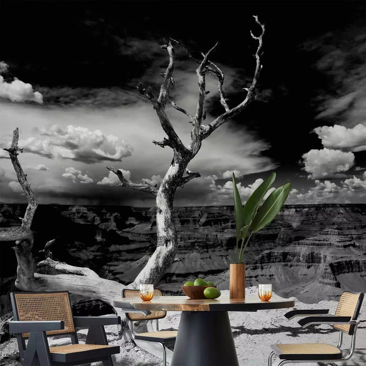 Fototapetes - Melnbalta ainava ar vienu koku centrā G-ART