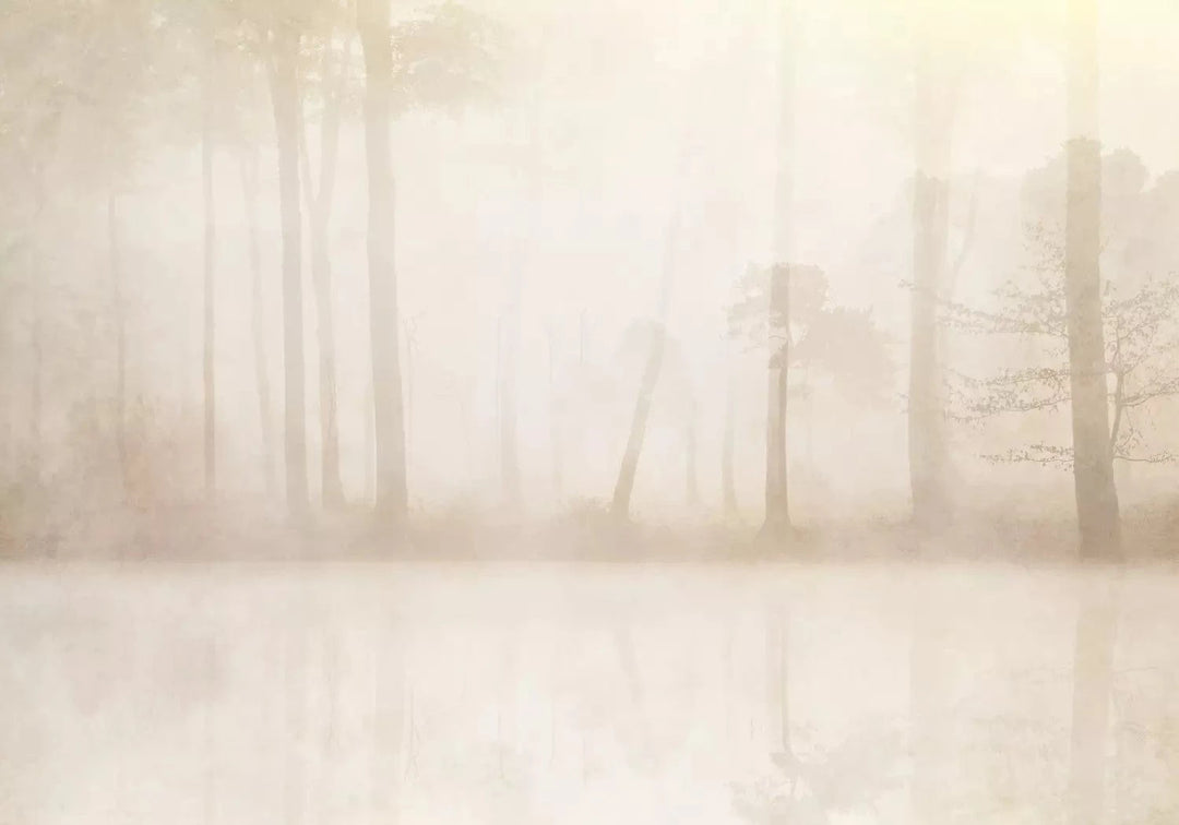 Fototapetes ar miglainu mežu krēmkrāsā - pasūtīt pēc saviem izmēriem G-ART