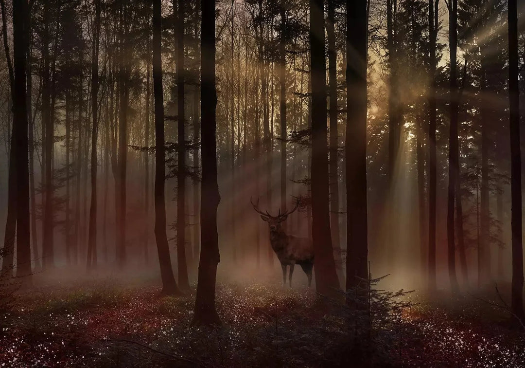 Fototapetes - Mistisks mežs un briedis brūnos toņos - 128765 G-ART