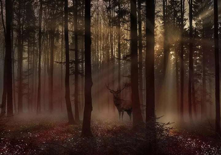 Fototapetes - Mistisks mežs un briedis brūnos toņos - 128765 G-ART