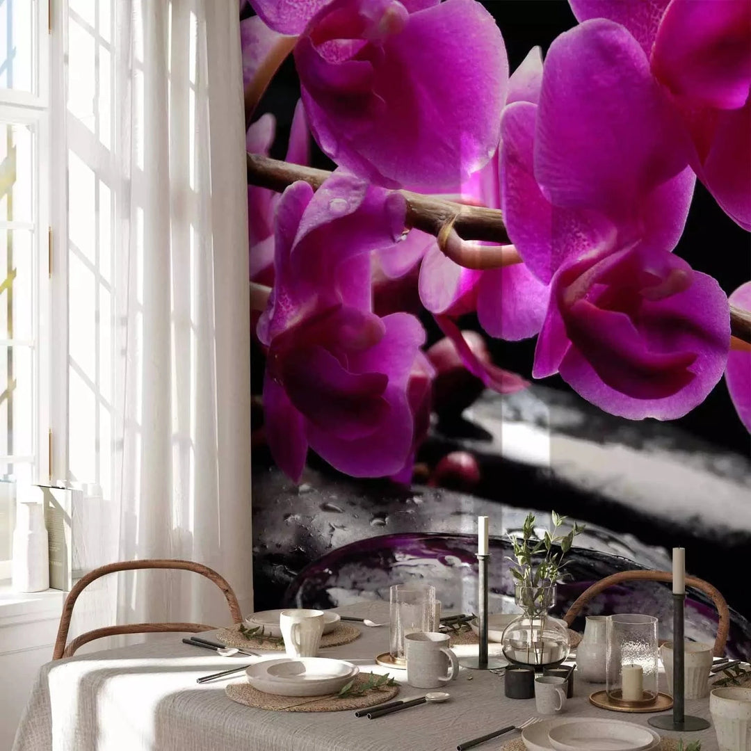 Fototapetes - Orhidejas un Zen akmeņi uz melna fona, 60188 G-ART