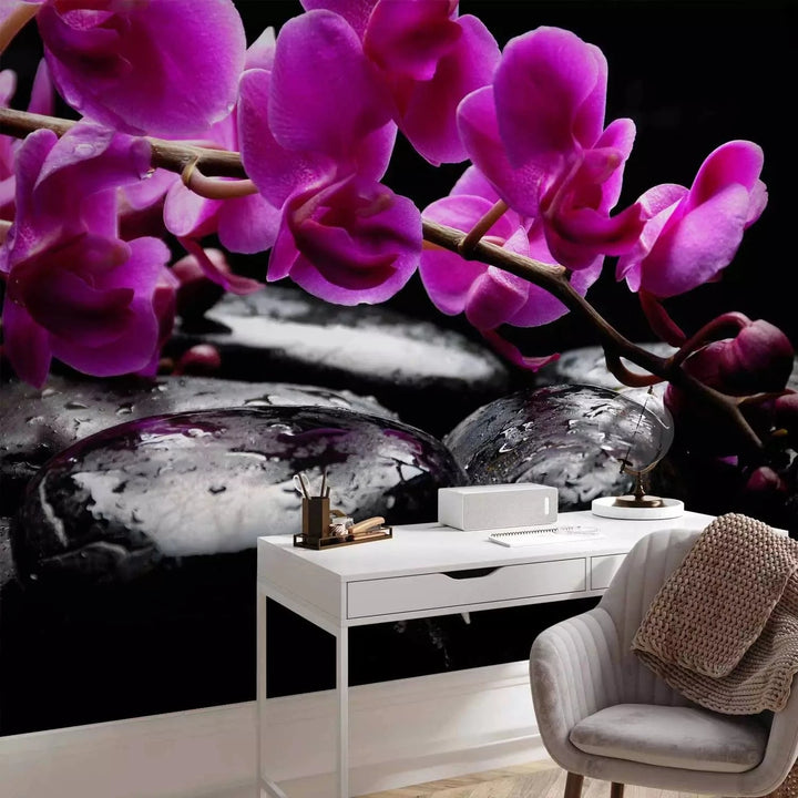 Fototapetes - Orhidejas un Zen akmeņi uz melna fona, 60188 G-ART