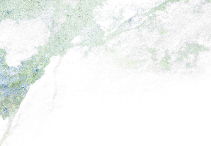 Fototapetes - Pasteļkrāsas piparmētru zaļa abstrakcija - 135569 G-ART