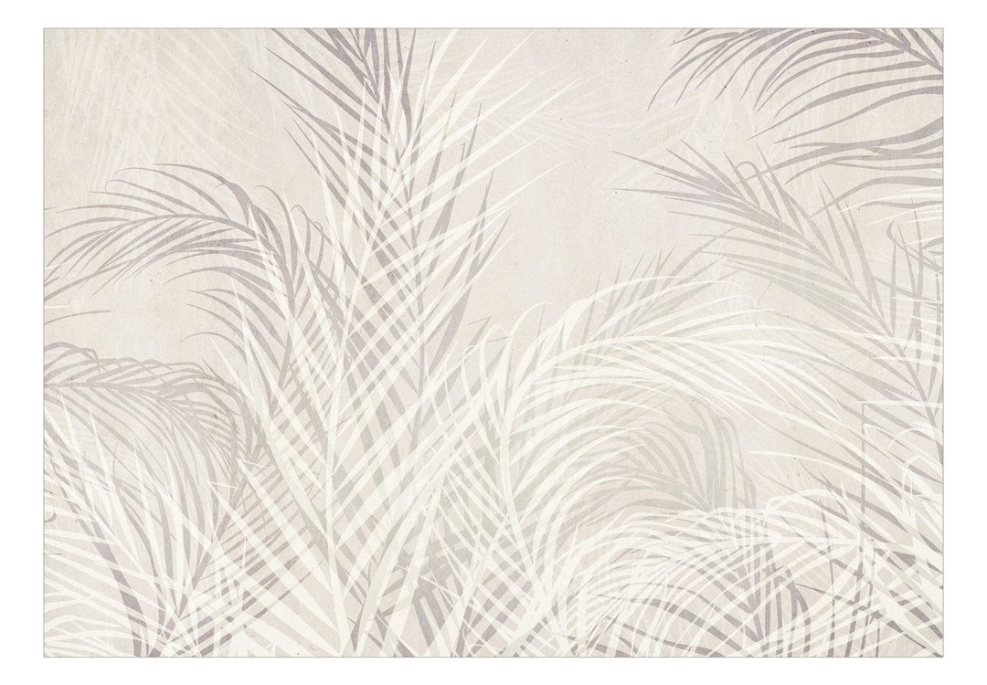 Fototapetes - Pelēkas palmu lapas uz gaiša fona - 148820 G-ART