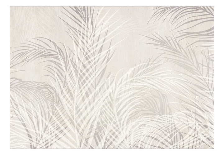 Fototapetes - Pelēkas palmu lapas uz gaiša fona - 148820 G-ART