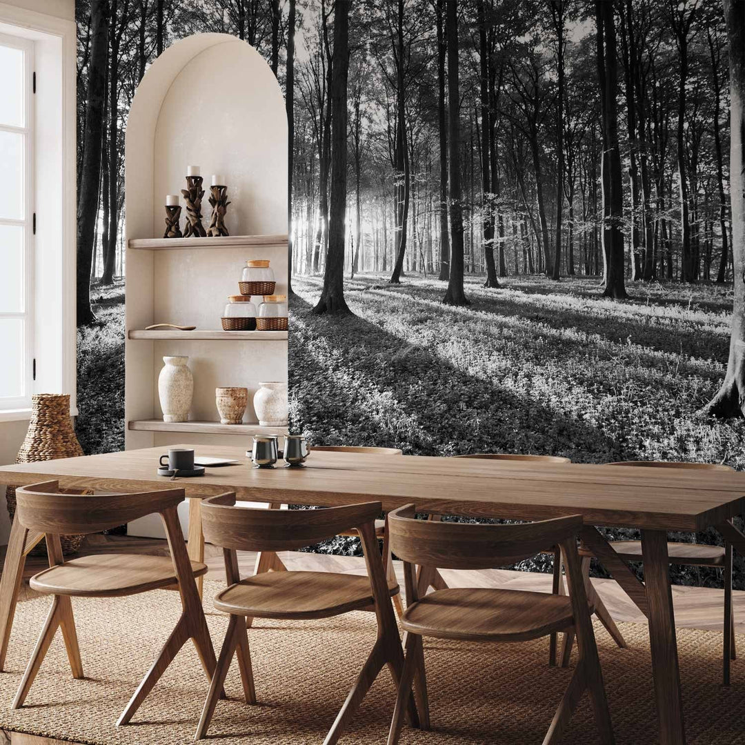 Fototapetes ar dabu - melnbalts saulains mežs, 91230  G-ART