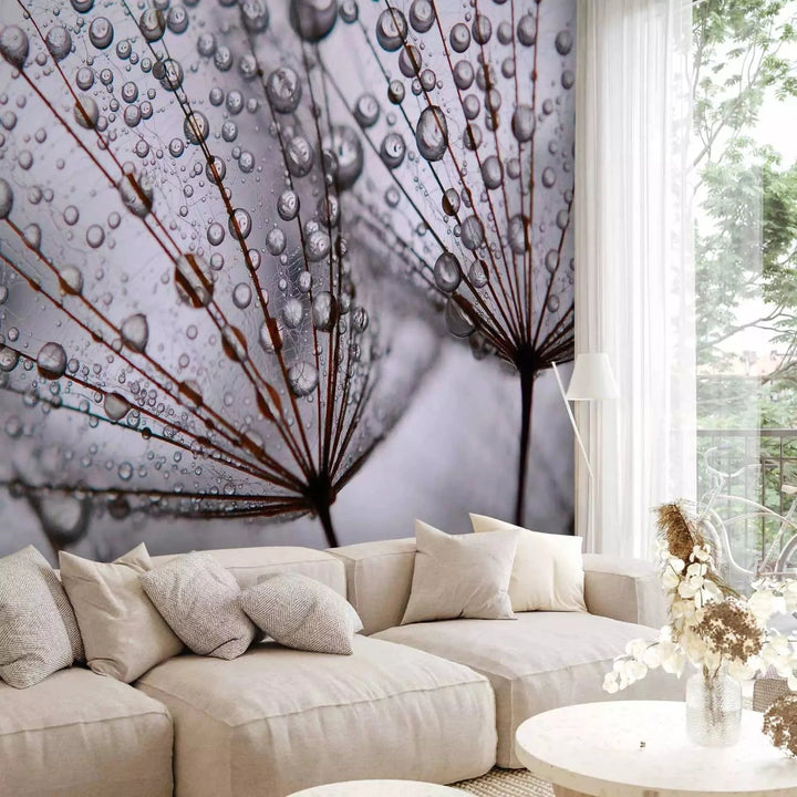 Fototapetes - Pienene un rīta rasa - tuvplāns ar ūdens pilieniem G-ART