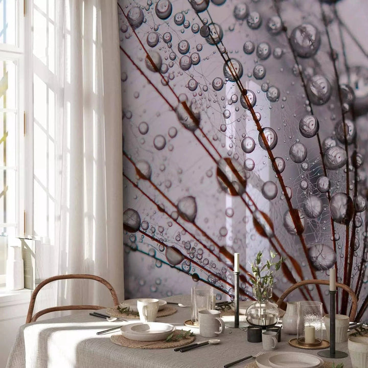 Fototapetes - Pienene un rīta rasa - tuvplāns ar ūdens pilieniem G-ART