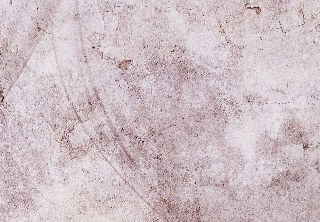 Fototapetes - Pienenes ēna (brūnos toņos) - 138472 G-ART
